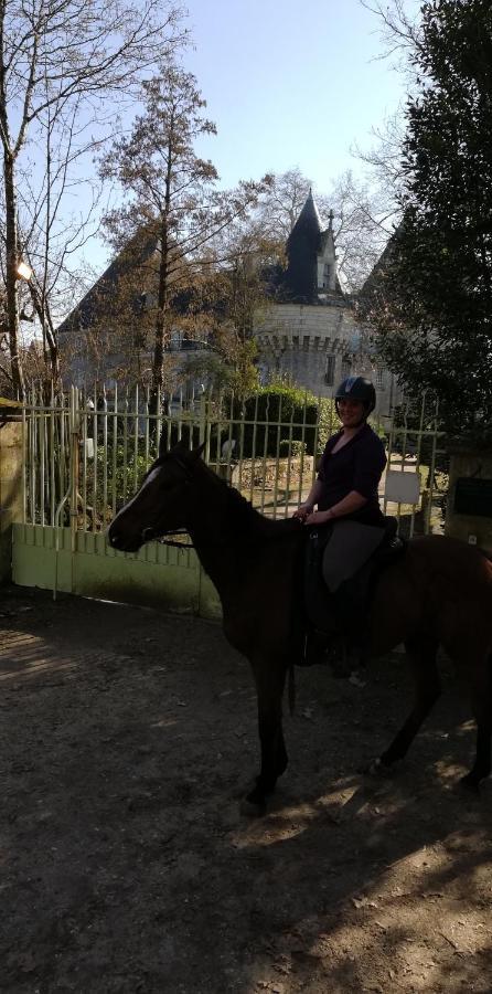 Bazouges-sur-le-Loir Chambre D'Hote En Vallee Du Loir - Elevage Des Rosiers المظهر الخارجي الصورة