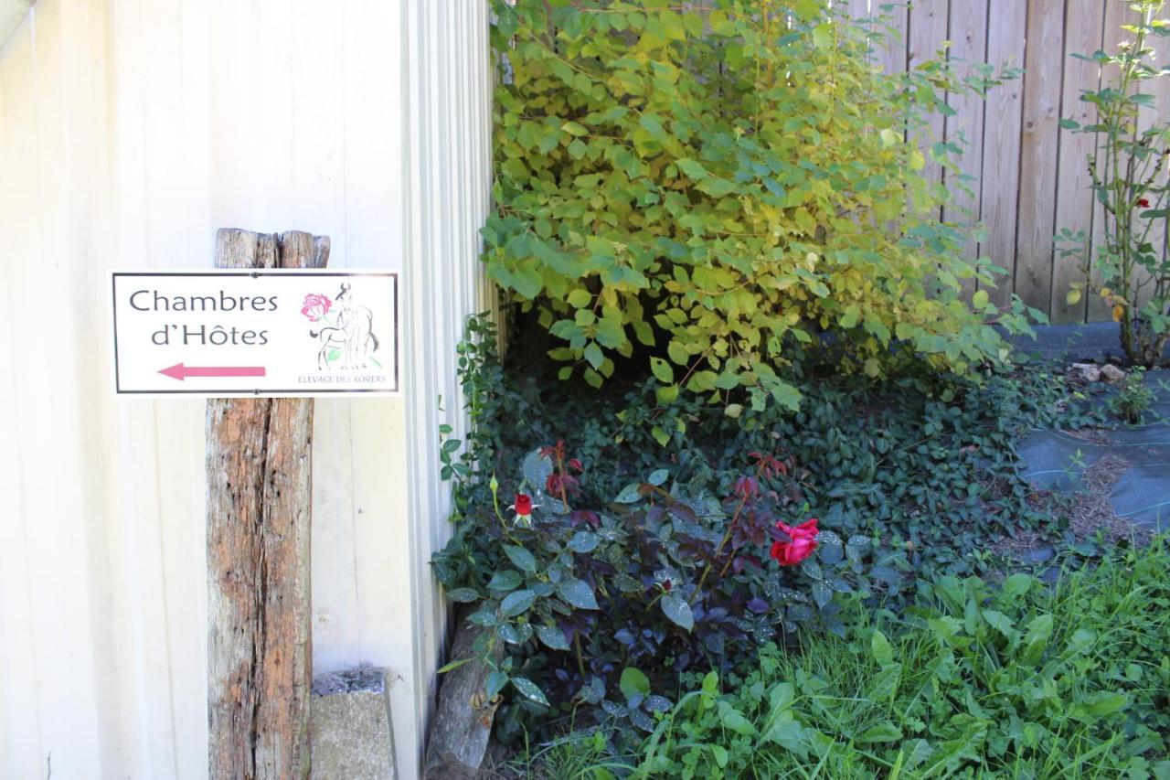 Bazouges-sur-le-Loir Chambre D'Hote En Vallee Du Loir - Elevage Des Rosiers المظهر الخارجي الصورة