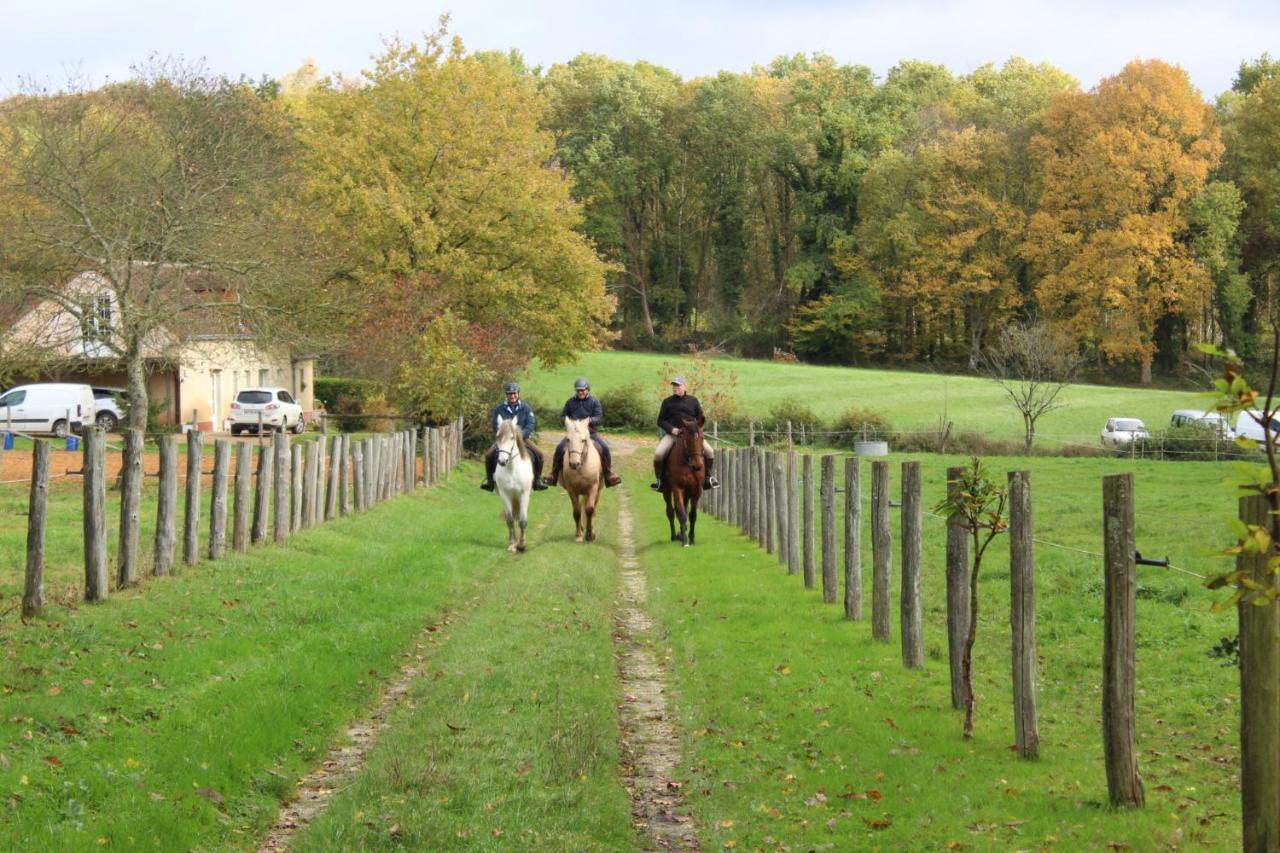 Bazouges-sur-le-Loir Chambre D'Hote En Vallee Du Loir - Elevage Des Rosiers المظهر الخارجي الصورة